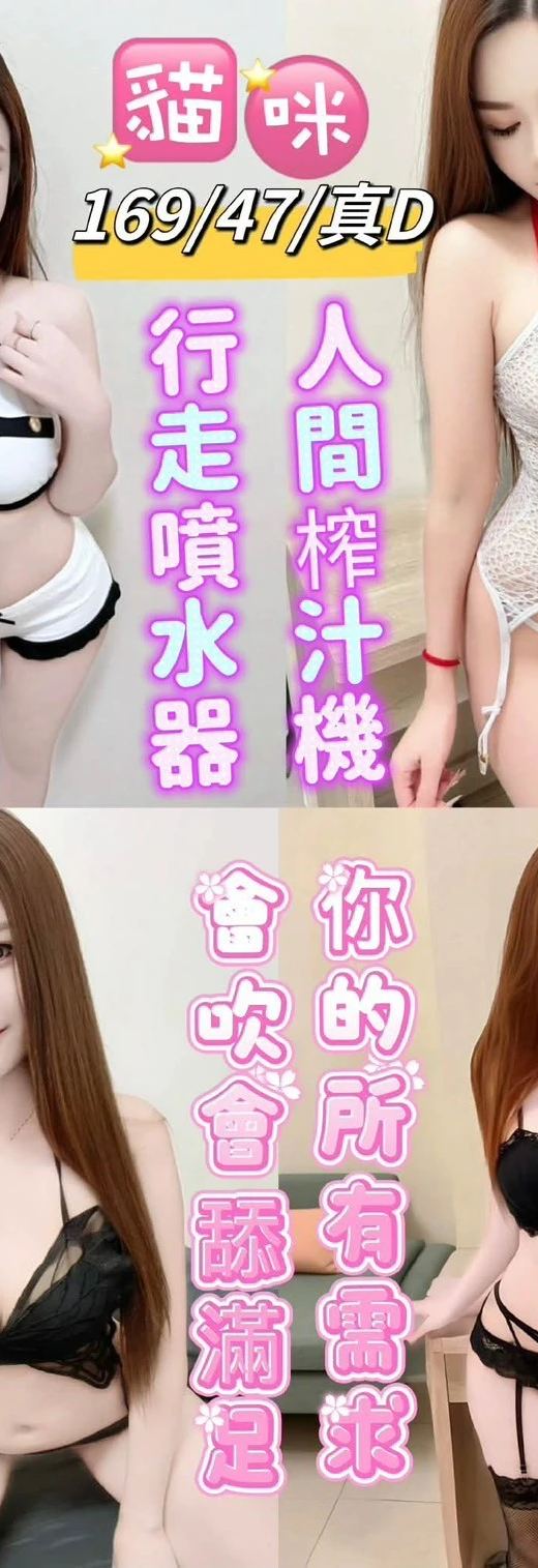 貓咪形象照片