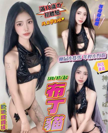 布丁貓主要形象照片