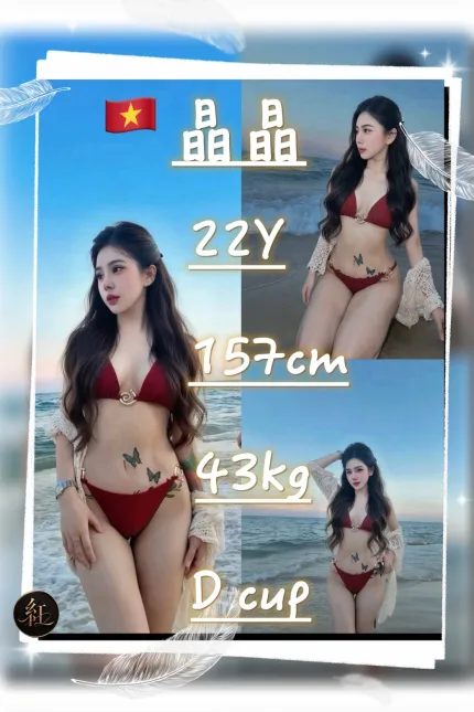 晶晶主要形象照片
