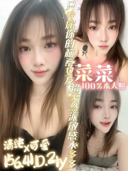 菜菜主要形象照片