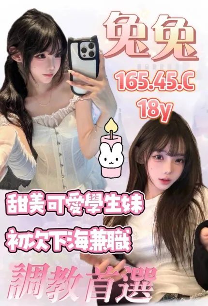 兔兔主要形象照片