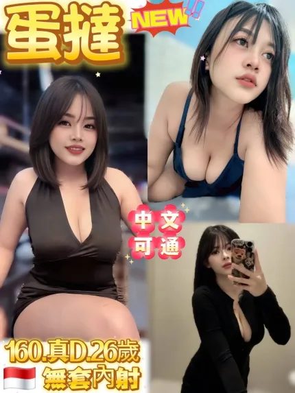 蛋撻主要形象照片